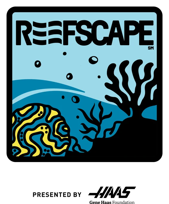 reefscape